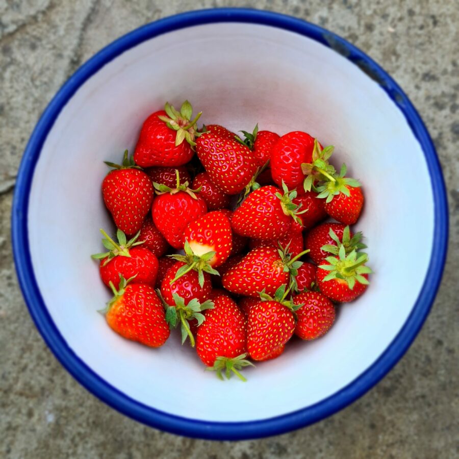 Fresh Strawberries