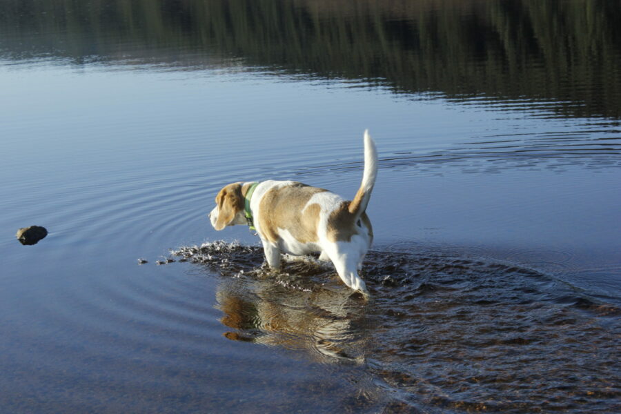 Cooling Off